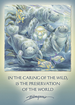 In The Caring Of The Wild... - Magnet