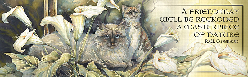 Cats / Cat-a-lilies - Bookmark