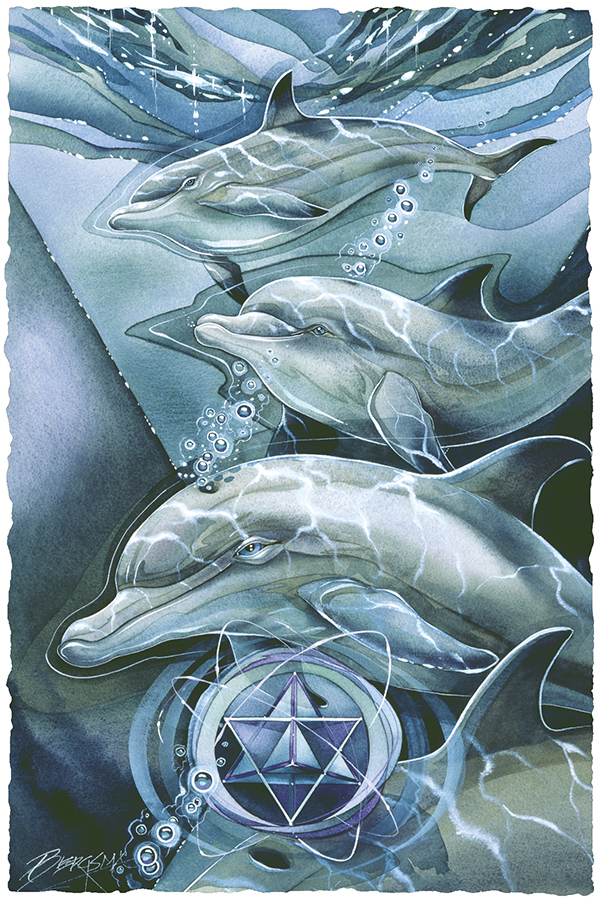 Dolphin Star Large Print (Click for options & image enlargement)                         