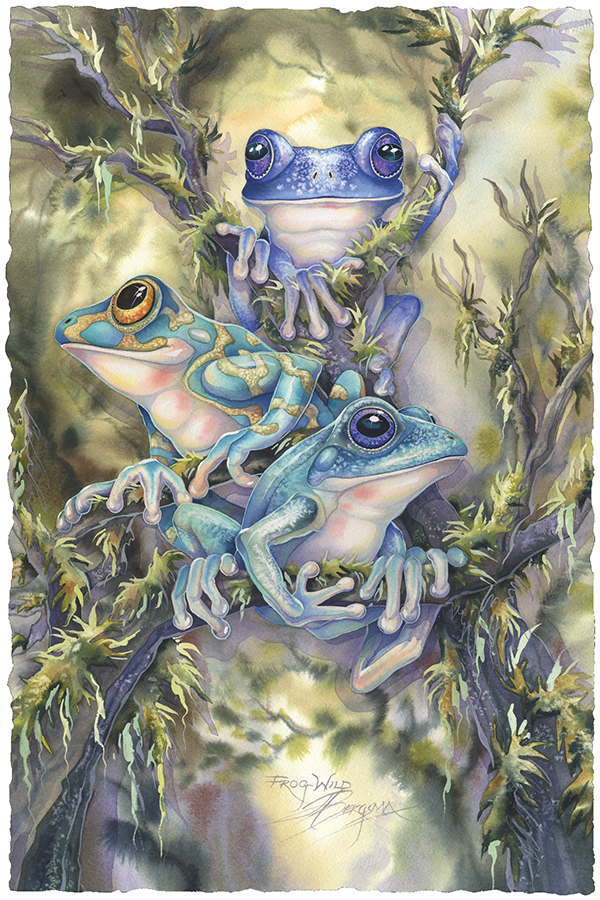 Frog Wild Small Prints (Click for options & image enlargement)               