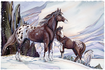 Medicine Horse Large Prints (Click for options & image enlargement)                                                    