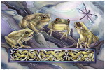 Knotty Frogs Small Prints (Click for options & image enlargement)               