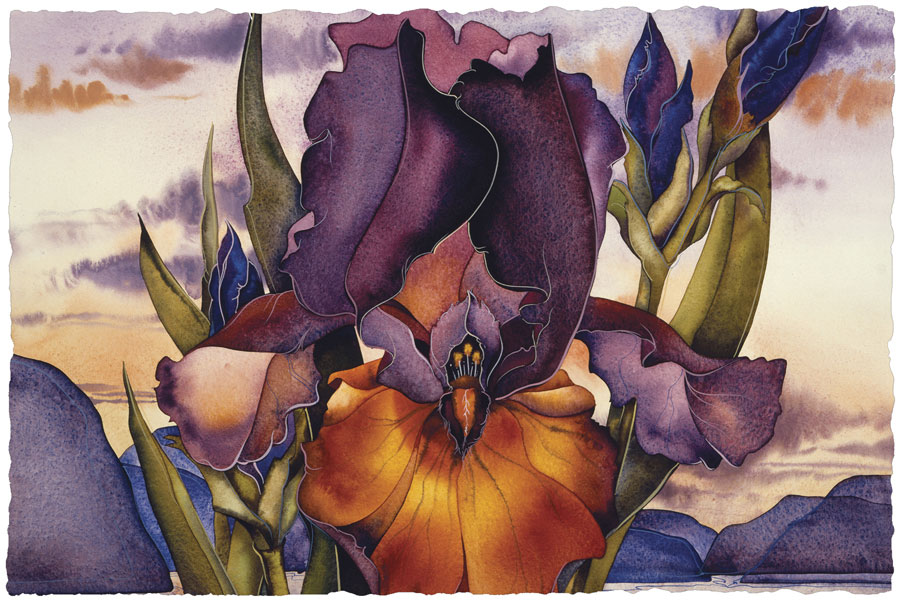 Irises / Fire Over The Islands - Art Card