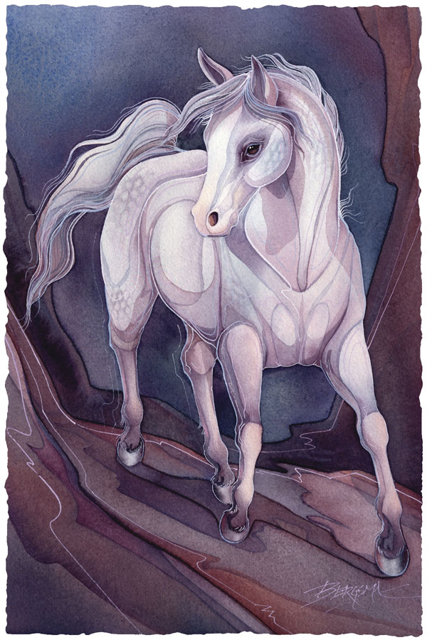Desert Horse - Prints