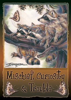 Raccoons / Mischief, Curiosity & Trouble - Magnet   
