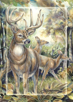 Deer / Woodland Wanderer - Magnet 