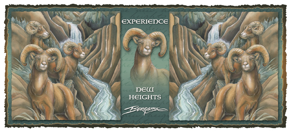 Experience New Heights - Mug 