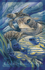 Turtles / The Sea Has Eyes - 11 x 14 inch Poster