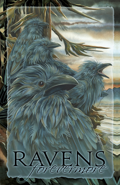Ravens / Ravens... Forevermore - 11 x 14 inch Poster 