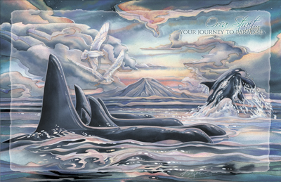 Whales/ Orca Strait