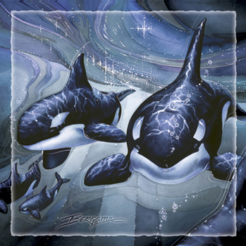 Whales (Orca) / Orca Experience - Tile    