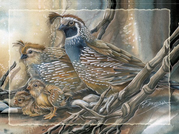 Have A Quail Of A Day - Easel Back Tile