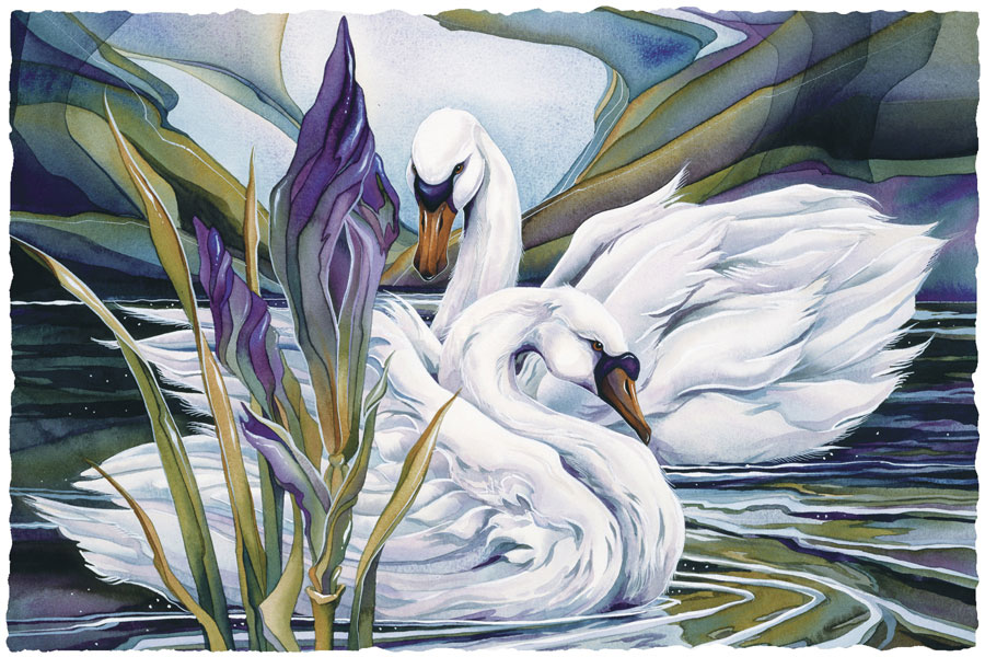 Swans / Everlasting Love - Art Card