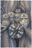 Little Owl Medicine Large Prints (Click for options & image enlargement)                         