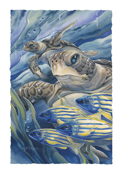 Turtles / The Sea Has Eyes - Art Card