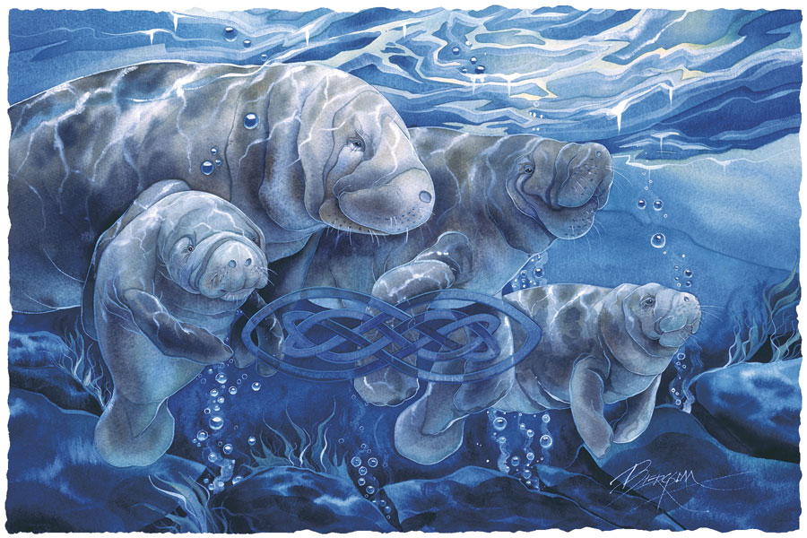 Manatees Forever - Prints