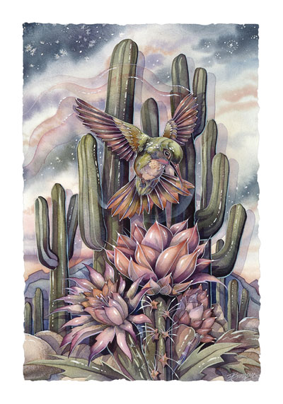 Hummingbirds / Jewel Of The Desert - Art Card