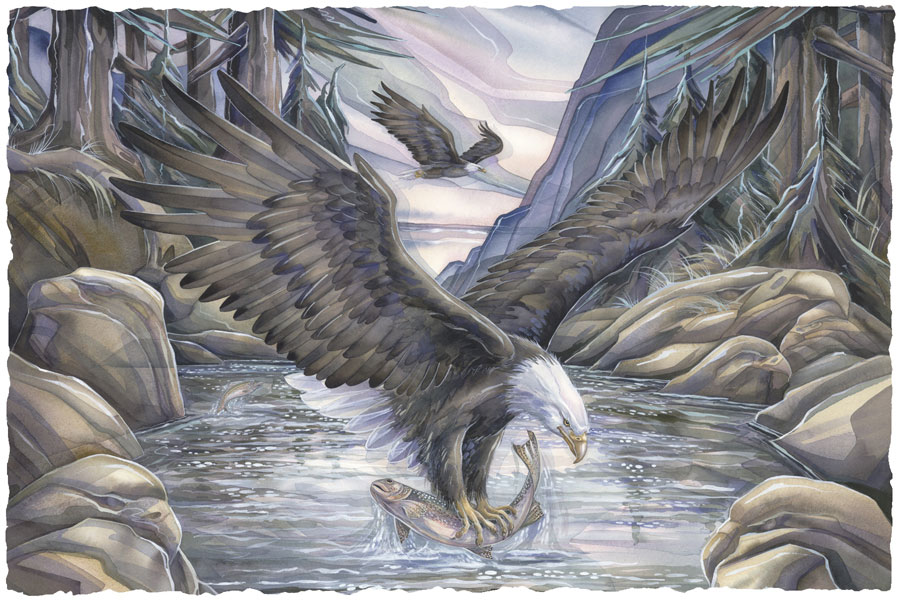 Eagles (Bald) / Hunt For Survival - Art Card