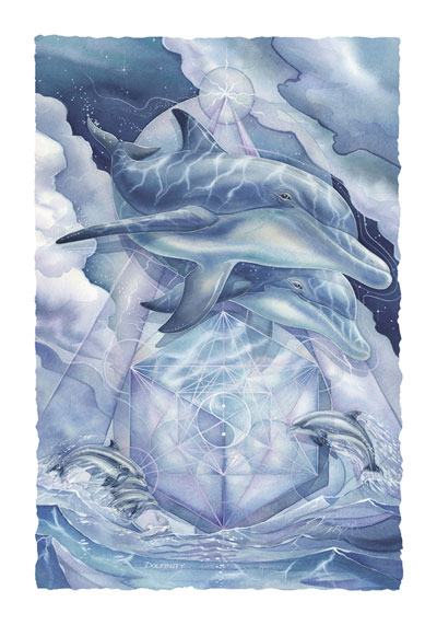 Dolphins / Dolphinity - Art Card