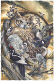 Wild Birds...A Circle Of Friends Small Prints (Click for options & image enlargement)                  