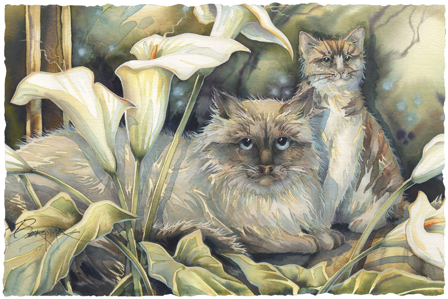 Cats / Cat-a-lilies - Art Card