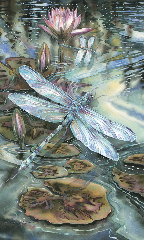 Dragonflies / Wild & Precious Life - Art Card 