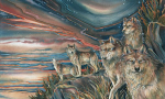 The Pack Large Prints (Click for options & image enlargement)                                  