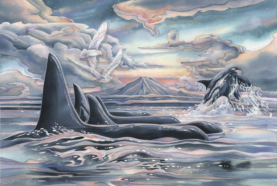Orca Strait...  - Prints