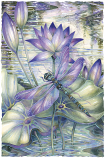 Amethyst Sunrise...A New Day Begins Small Prints (Click for options & image enlargement)                     