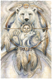 Spirit Bear Large Prints (Click for options & image enlargement)                            