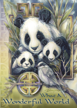 Pandas/ What A Wonderful World - Magnet