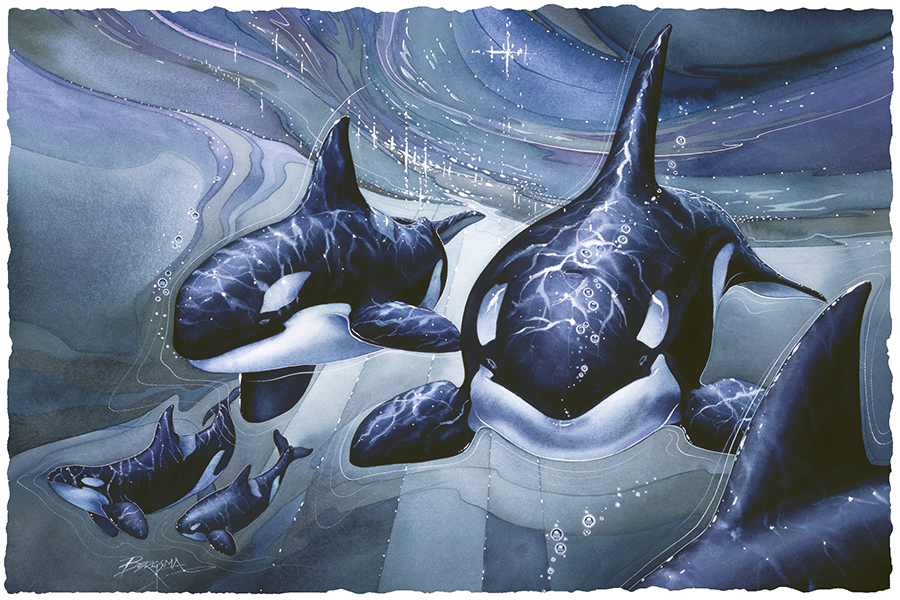 Orca Experience Small Prints (Click for options & image enlargement)     
