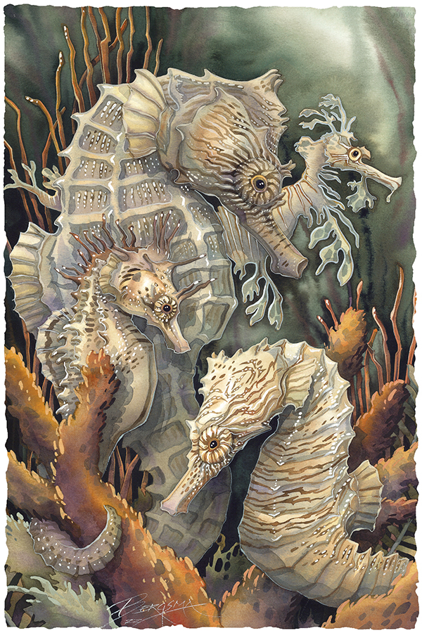 Seahorses...Beyond Imagination Small Prints (Click for options & image enlargement)        