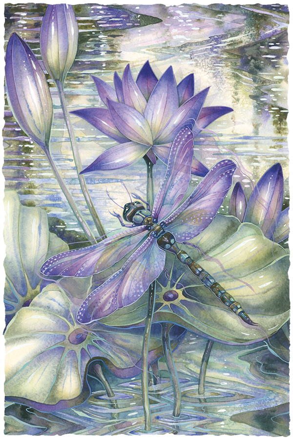 Amethyst Sunrise...A New Day Begins Small Prints (Click for options & image enlargement)                     