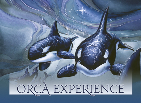 Orca Experience - Magnet  
