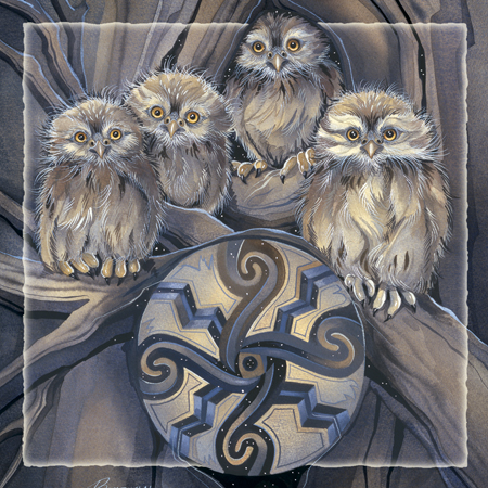Owls/ Little Owl Medicine