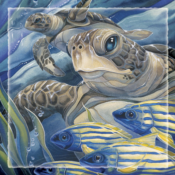 Turtles / The Sea Has Eyes - Tile 