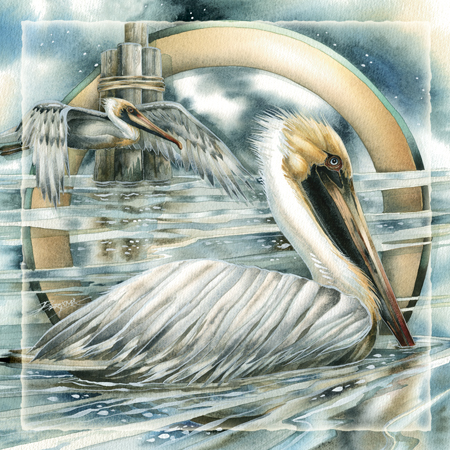 Pelicans / Sentinels of the Sea