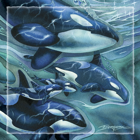 Whales (Orca) / Orca Clan