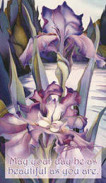 Irises / Lady Of The Lake - Mailable Mini