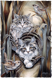 Tabby Or Not Tabby Large Prints (Click for options & image enlargement)                  