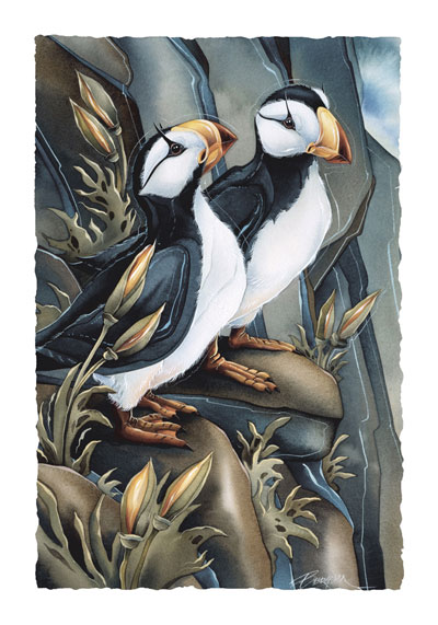 Puffins / Two Beaks, Or Not Two Beaks - Art Card