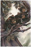 Bearly Hanging On Small Prints (Click for options & image enlargement)               