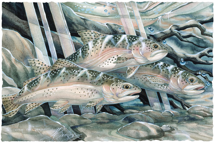 Fish (Trout) / Catch The Rainbow - Art Card