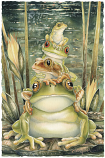 Top Frog Large Prints (Click for options & image enlargement)                                       