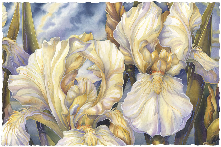 Irises / Summer Love - Art Card