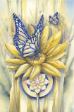 Butterfly Magic....Dreams Of Transformation Small Prints (Click for options & image enlargement)                  