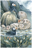 Puffin With Love For Each Otter Small Prints (Click for options & image enlargement) 