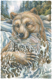 River Bear...Life Is An Adventure Small Prints (Click for options & image enlargement)          